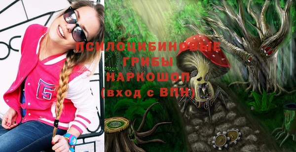 герыч Абинск