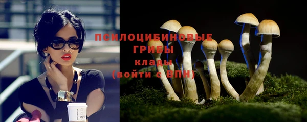 jwh Протвино