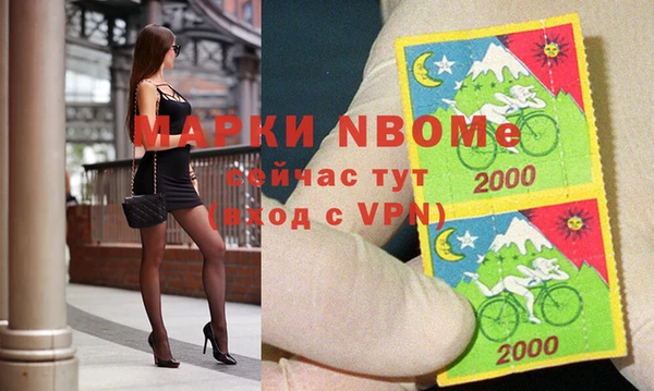 крисы Абаза