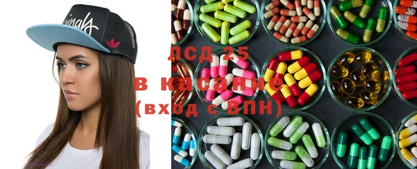 крисы Абаза